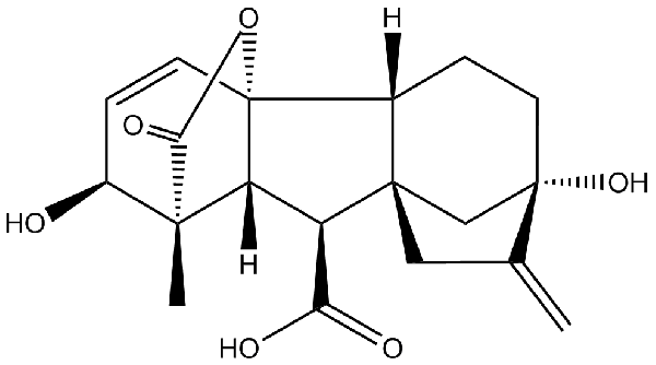 赤霉素GIBBERELLIC ACID，居然有這么神奇？